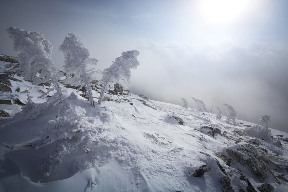 Photograph by Сергей Алексеевич