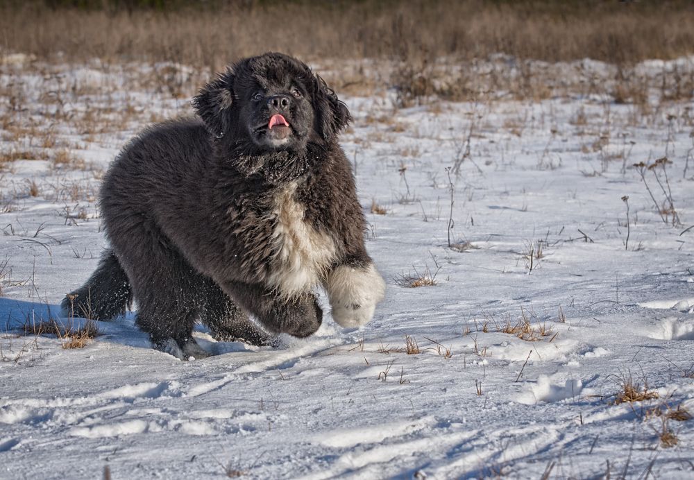 Photograph by Олег Тыркин