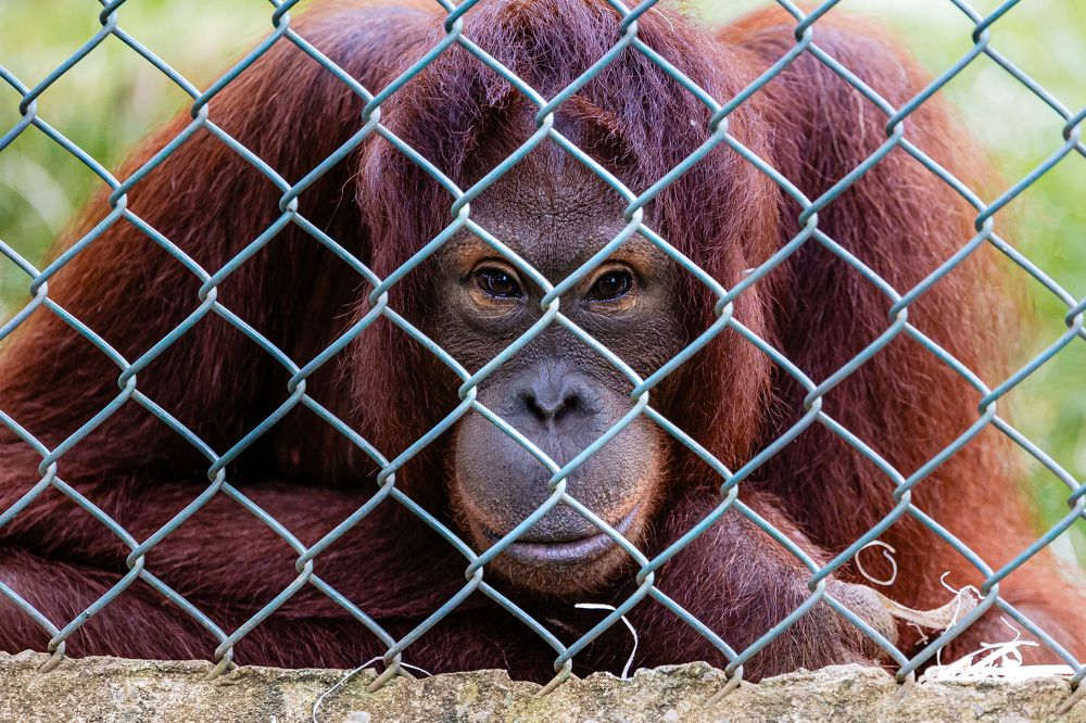 Photograph by Liga KALNINA