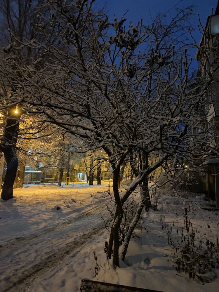 Фотография автора Viktoria