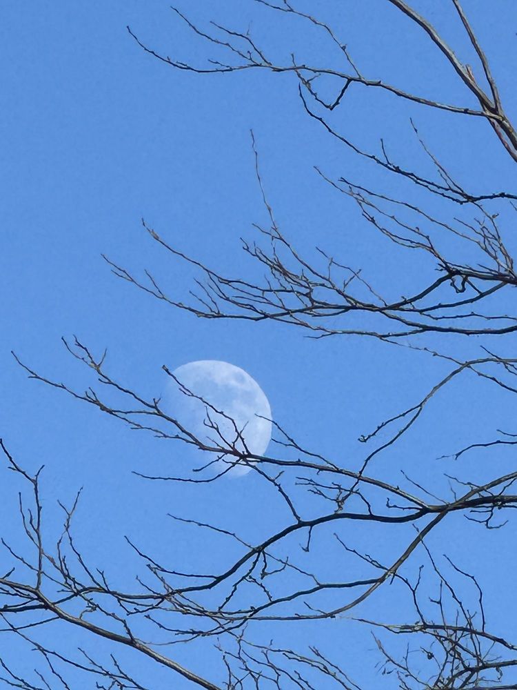 Photograph by Бойкова Наталия