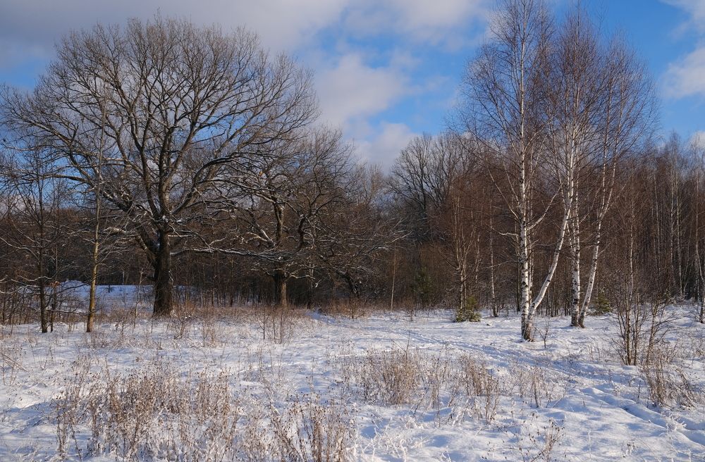 Photograph by Андрей Зайцев