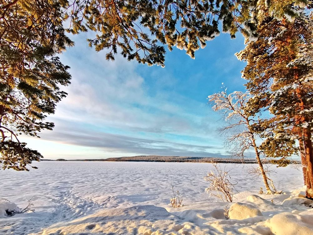 Photograph by Elena