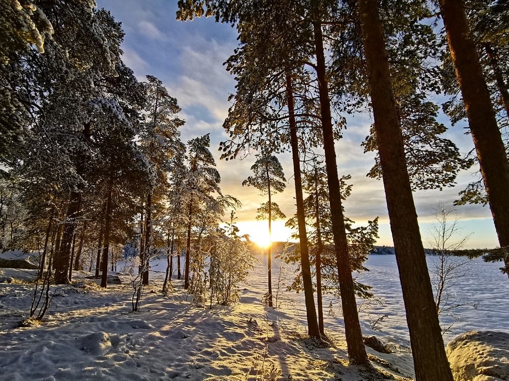 Photograph by Elena