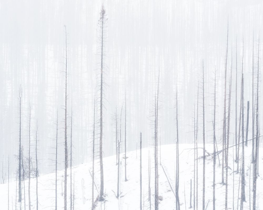 Photograph by Han Jinyi