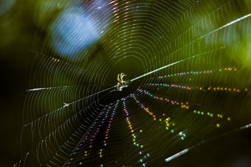 Photograph by Артем Артемьев