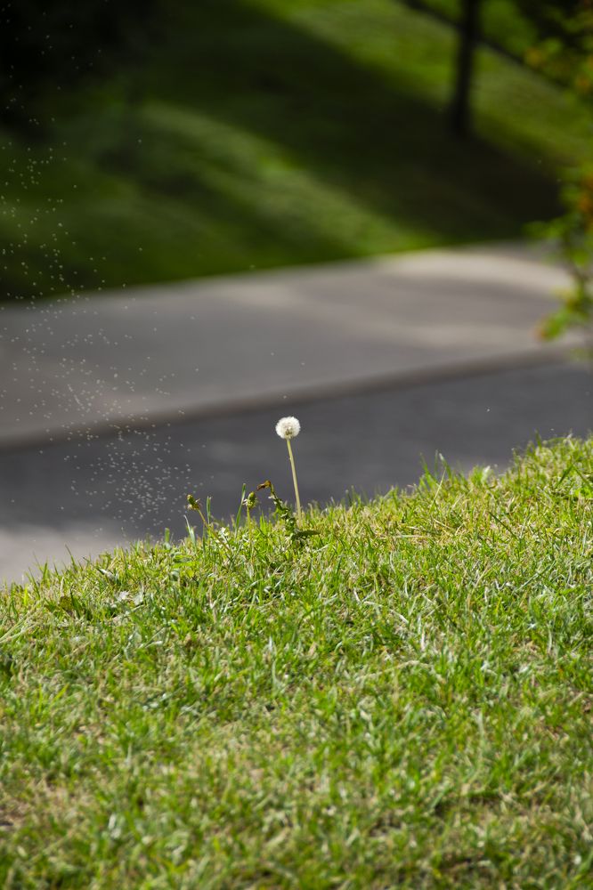 Photograph by Валерий Имамдинов