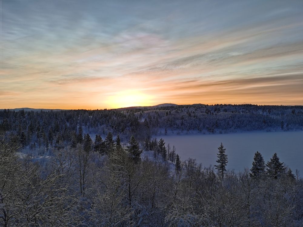 Photo #11742853