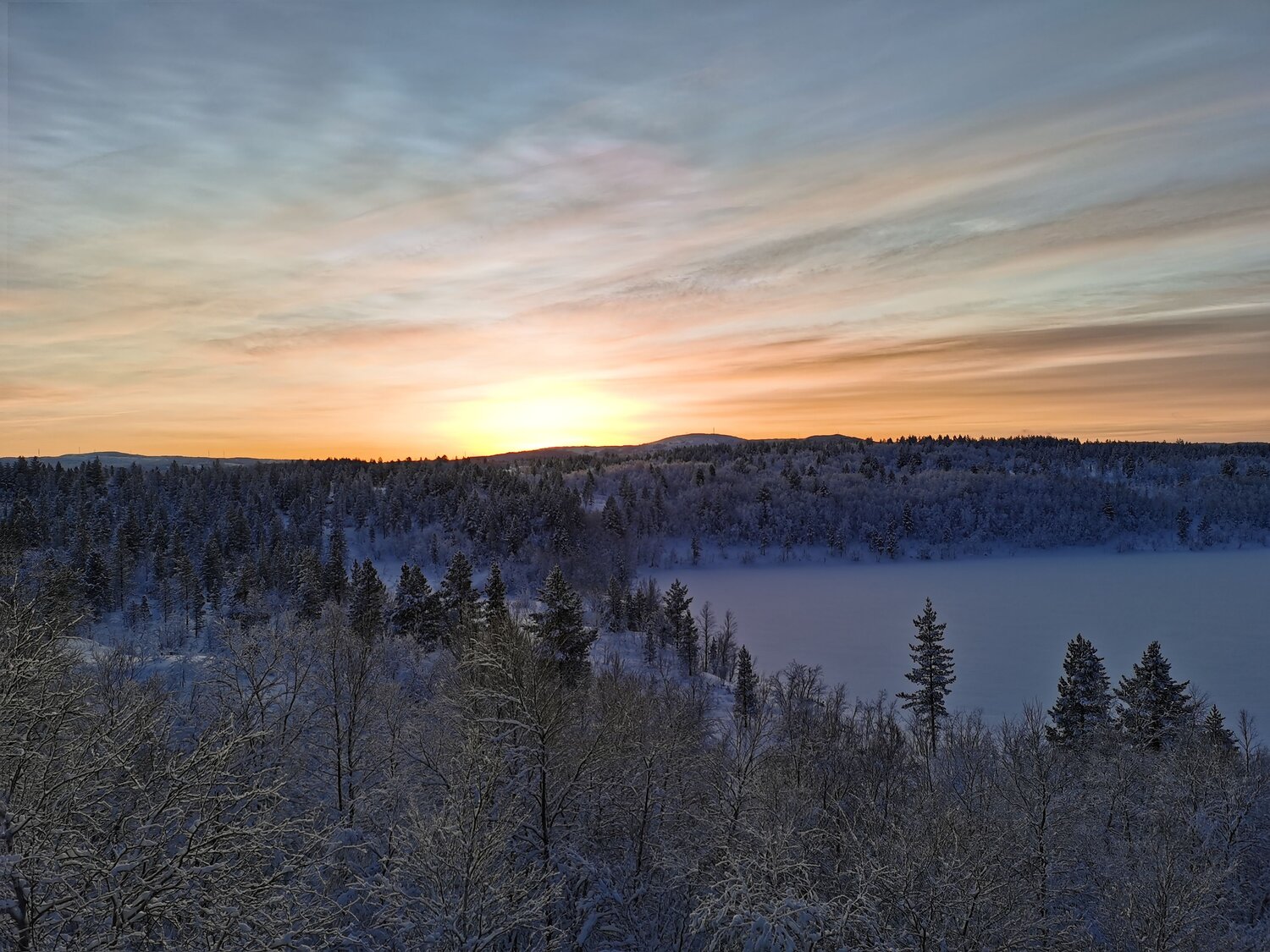 Photo #11742853