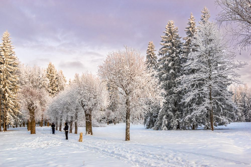 Photograph by Gennadiy Slezkin