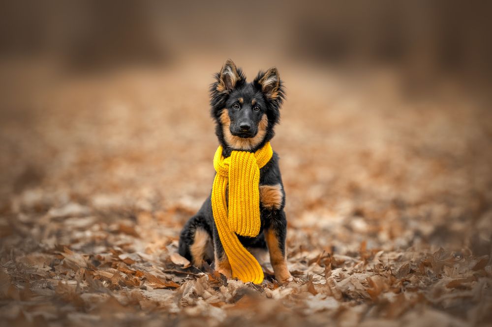 Photograph by Lucie Nermuťová