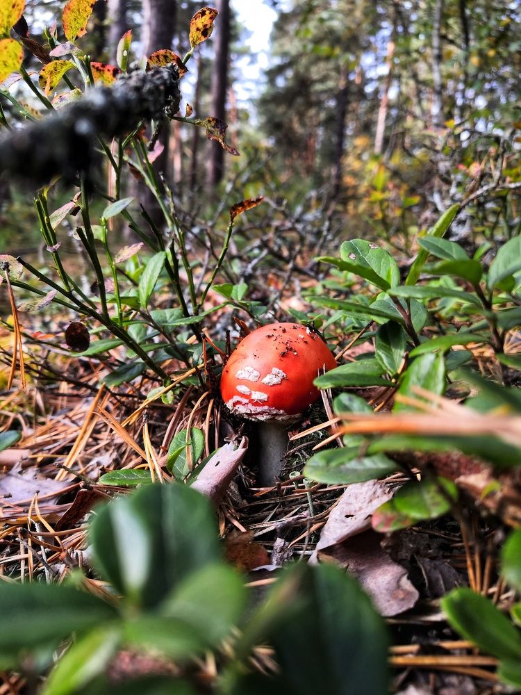 Photograph by Вадим Сташкевич