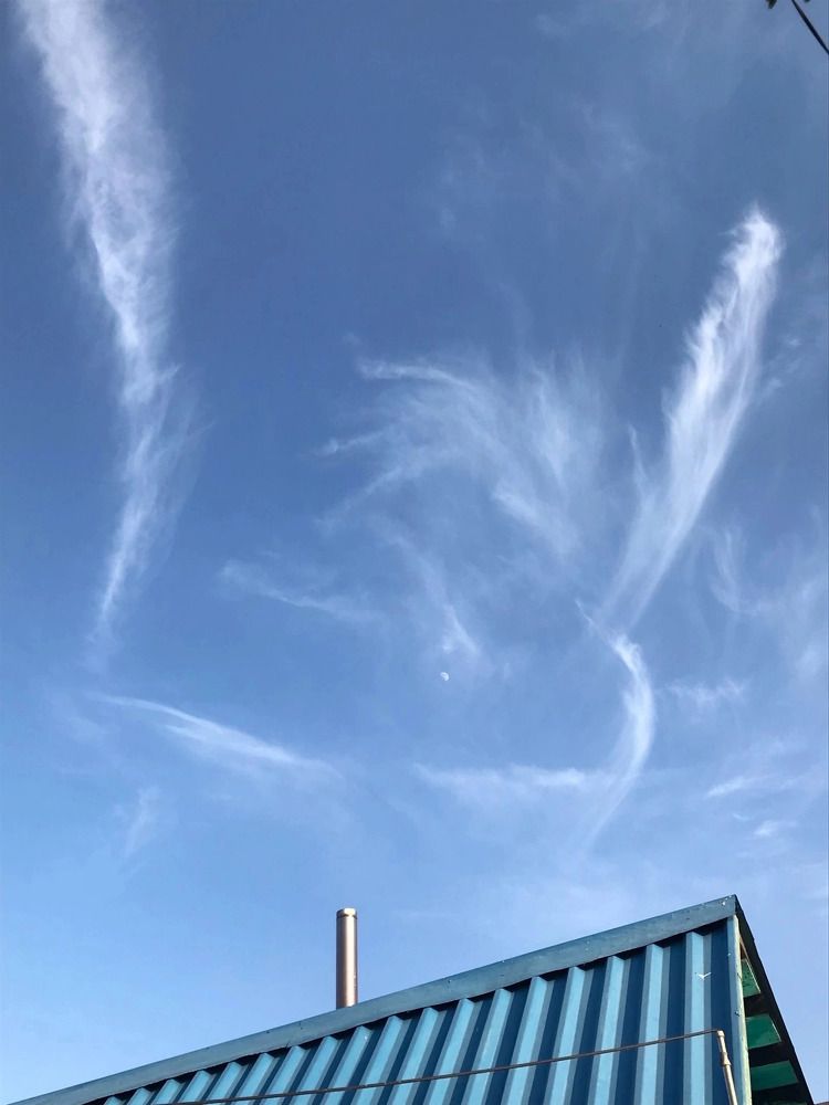 Фотография автора Viktoria