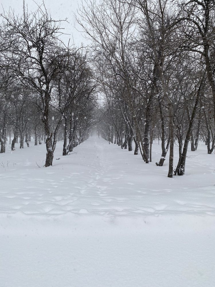 Фотография автора Viktoria