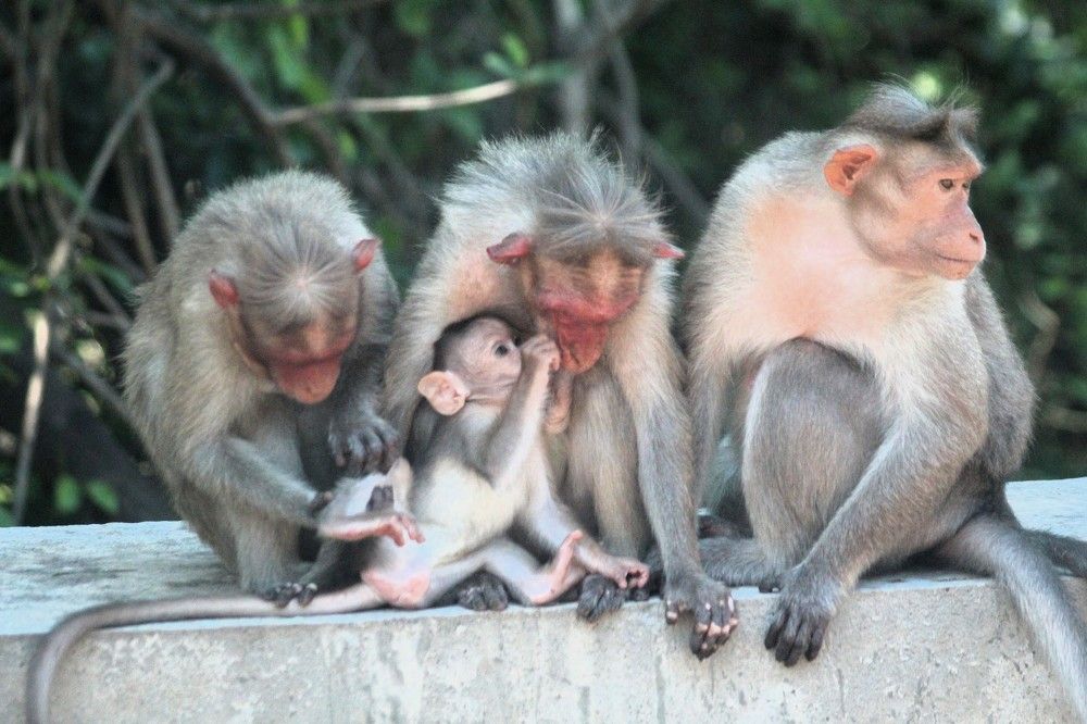 Фотография автора Nadarajan Lakshmanswamy