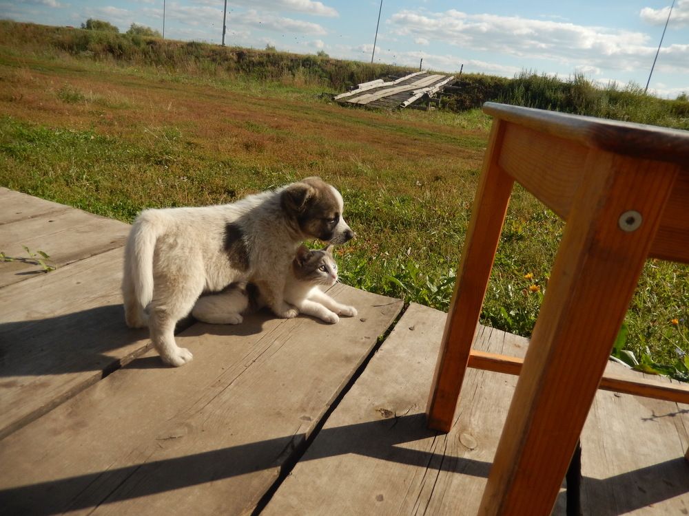 Фотография автора Клавдия Васильева