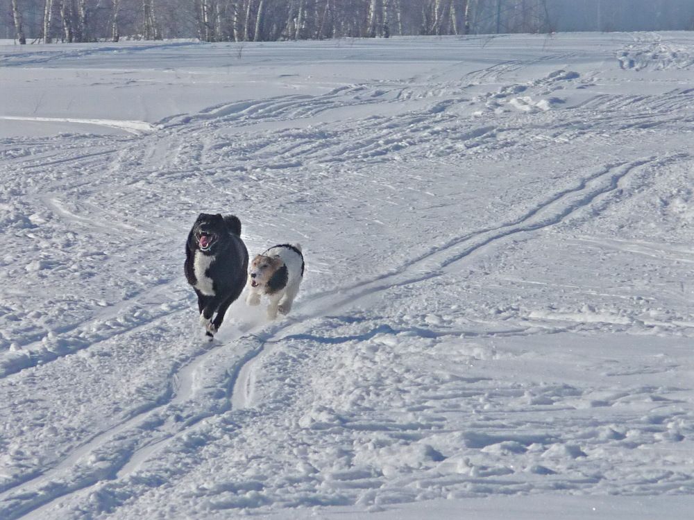 Фотография автора Клавдия Васильева