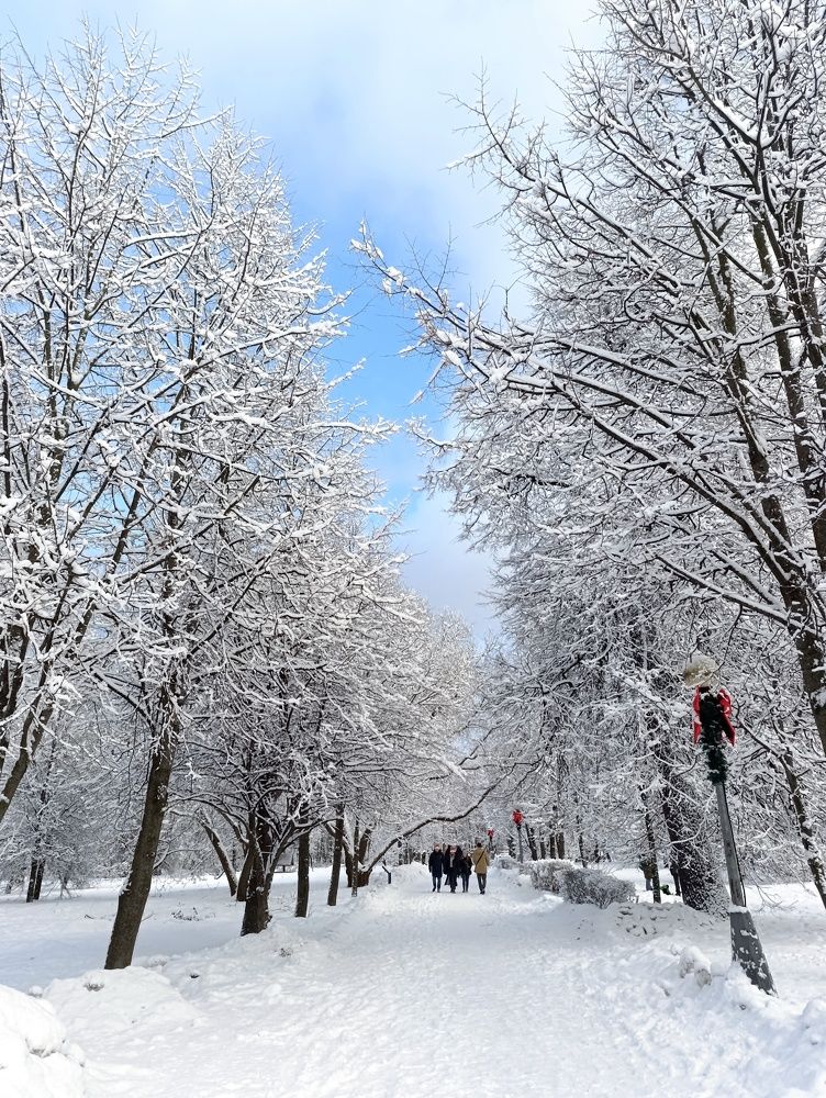 Photograph by Светлана Веселовская