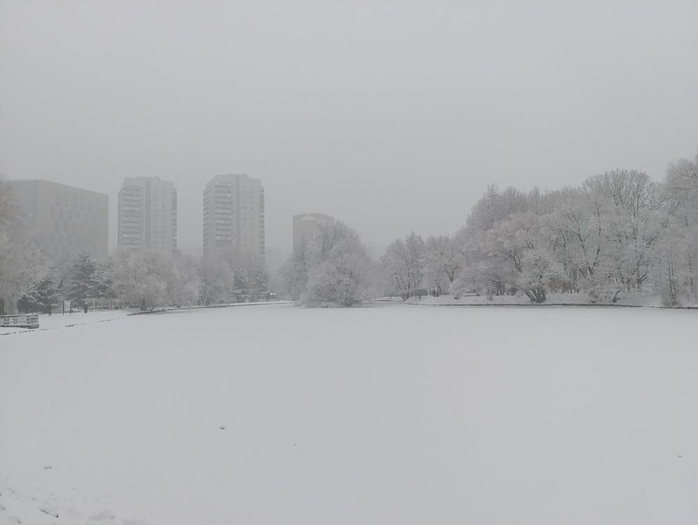 Photograph by Светлана Веселовская