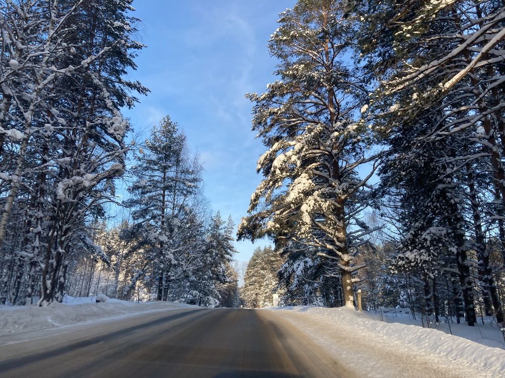 Photograph by Светлана