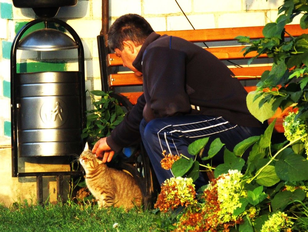 Photograph by Лариса Басова