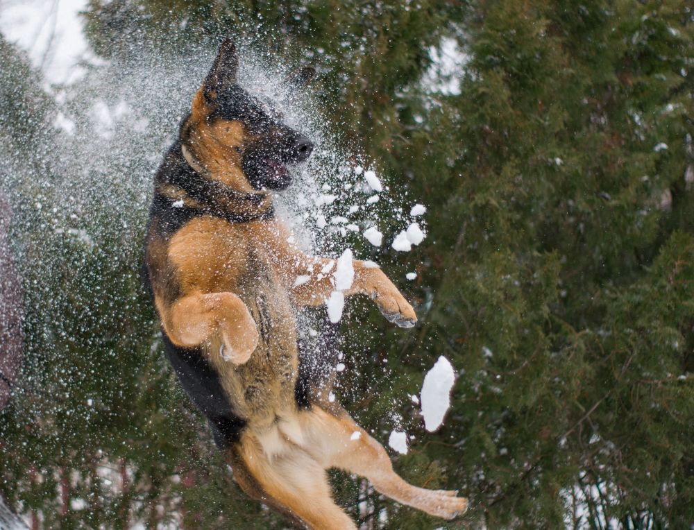 Photograph by Олег Алексеев