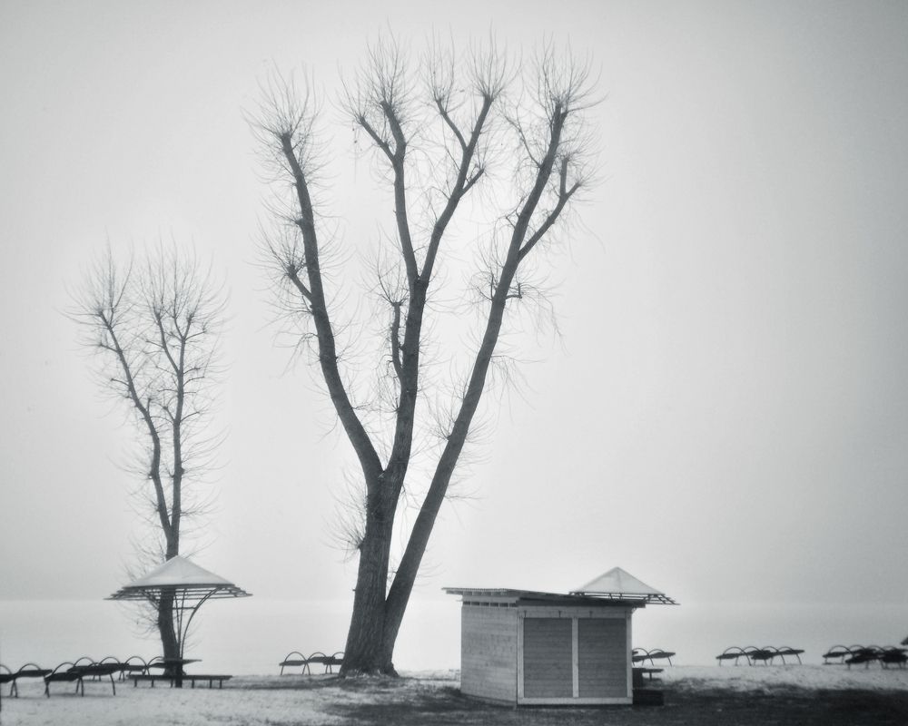 Photograph by Aliaksei Shandalin