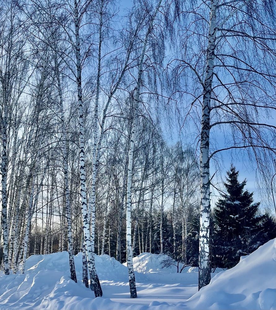 Photograph by Татьяна Мустафина