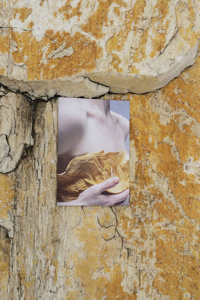 Photograph by Полина Кожевникова