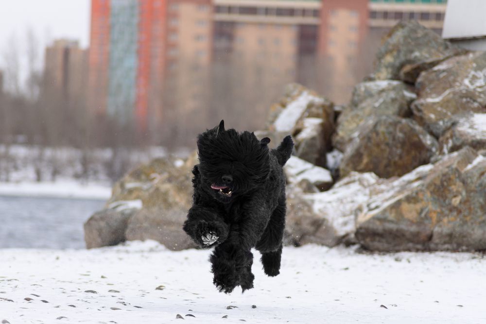 Photograph by Валерия Васина