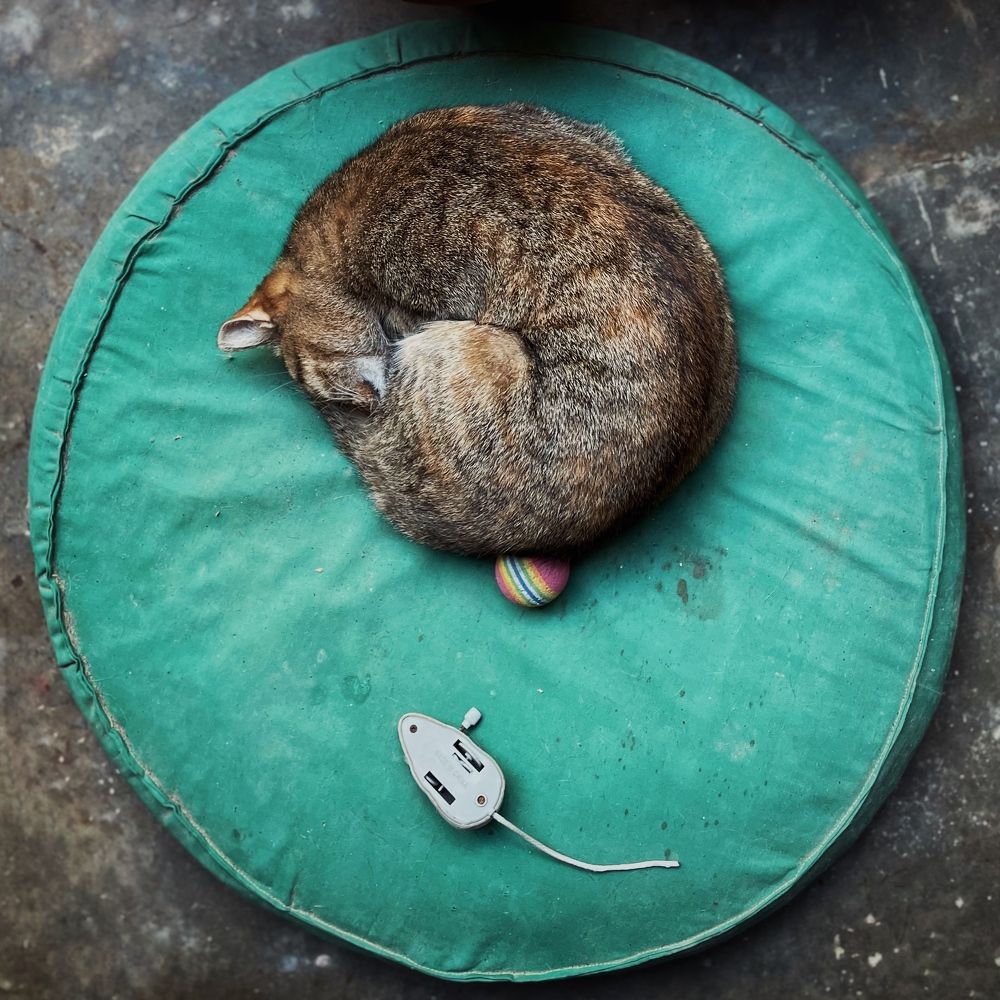 Photograph by Kseniya Trafimovich