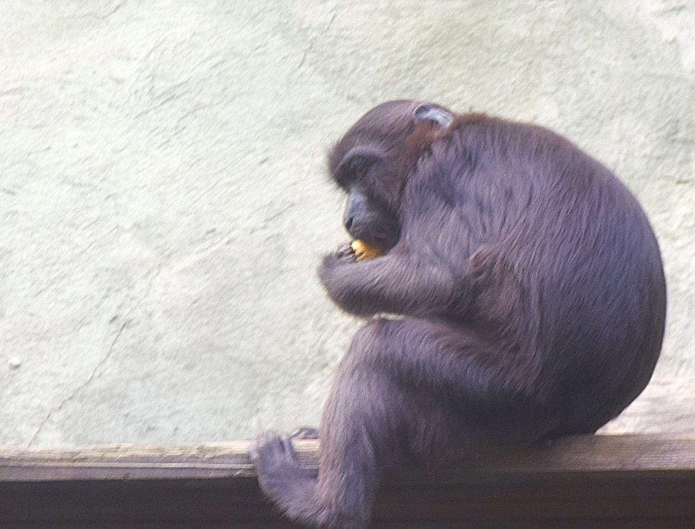 Фотография автора Альбина Хвастунова