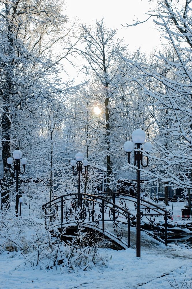 Фотография автора Светлана Кузнецова