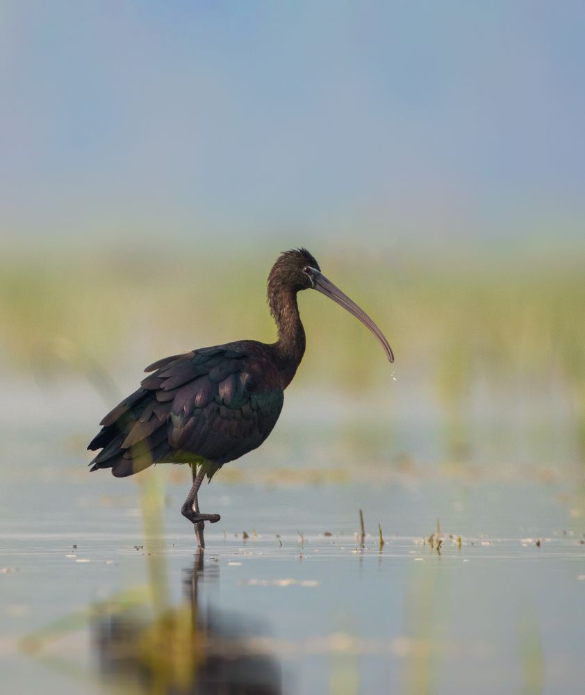 Photograph by Sagar Mondal