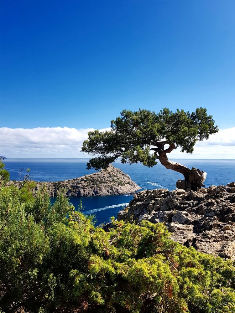 Photograph by Григорий Гуцол