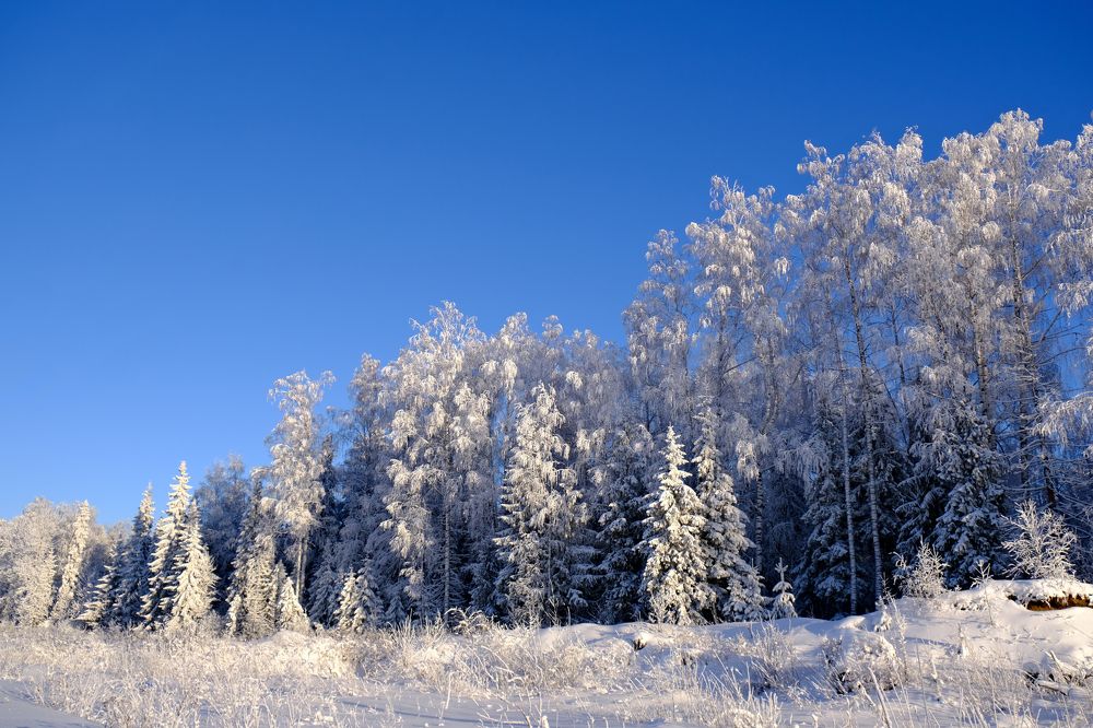 Photograph by Надежда Кангина