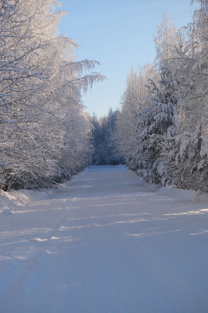 Photograph by Надежда Кангина