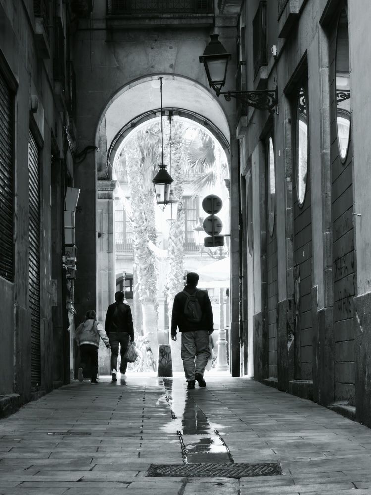 Photograph by Вадим Семенов