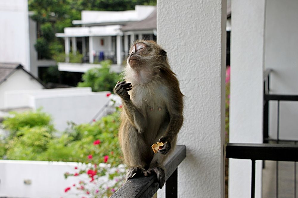 Наслаждение.