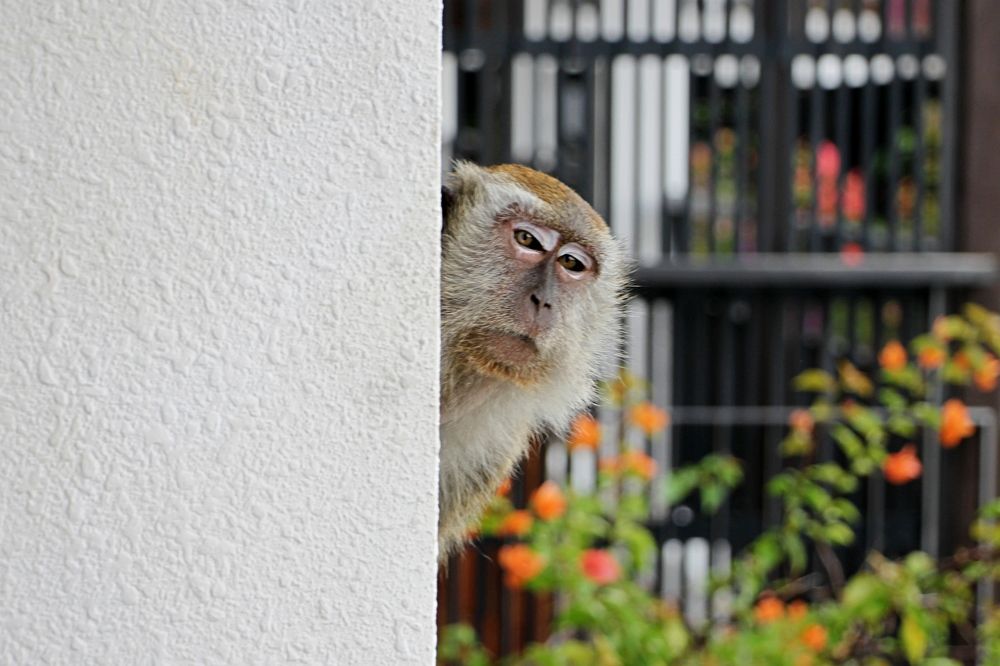 Photograph by  Валентина