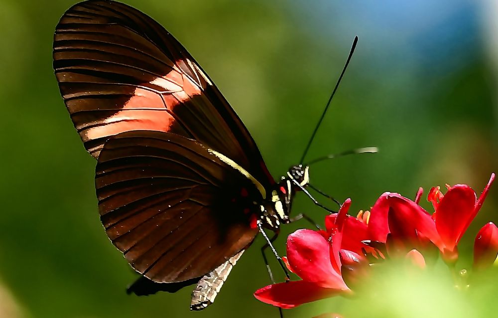 Photograph by Jesu Guevara hernandez
