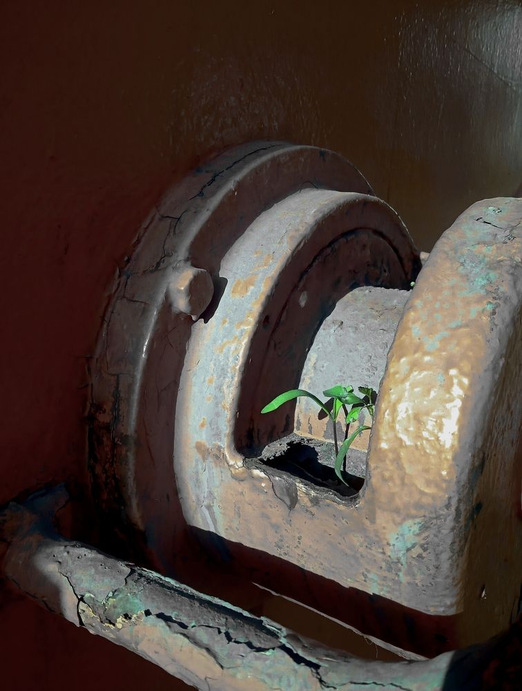 Photograph by Любовь Короткина