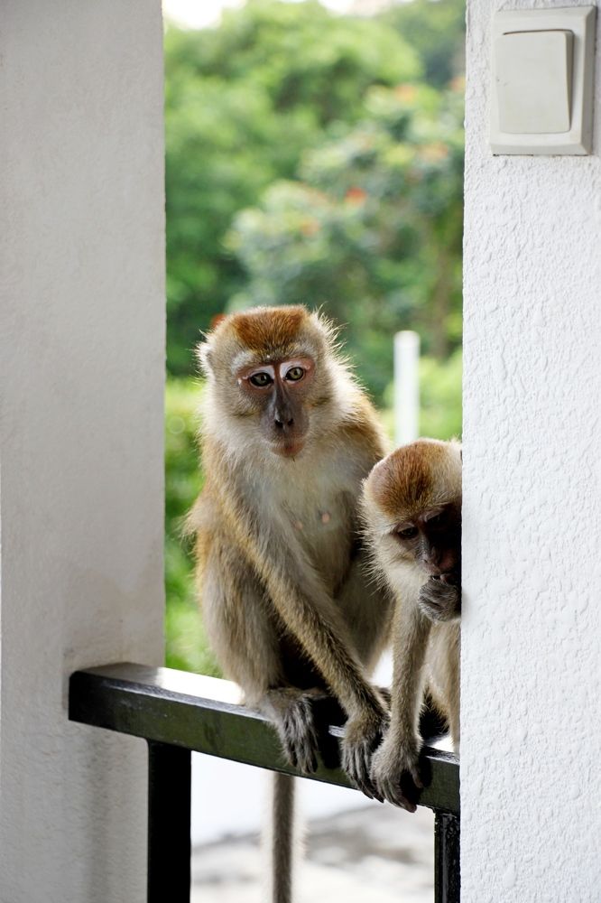 Photograph by  Валентина