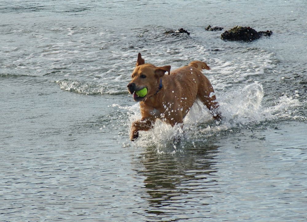 Photograph by Octavian Timosco