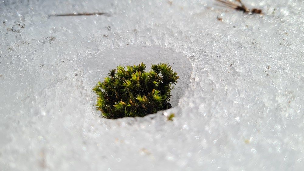 Photograph by Ирина Иванникова