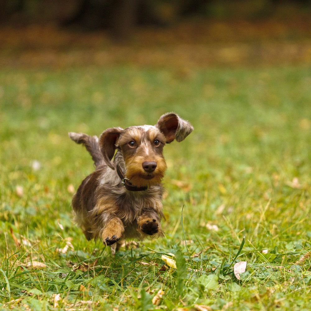 Photograph by Татьяна Макотра