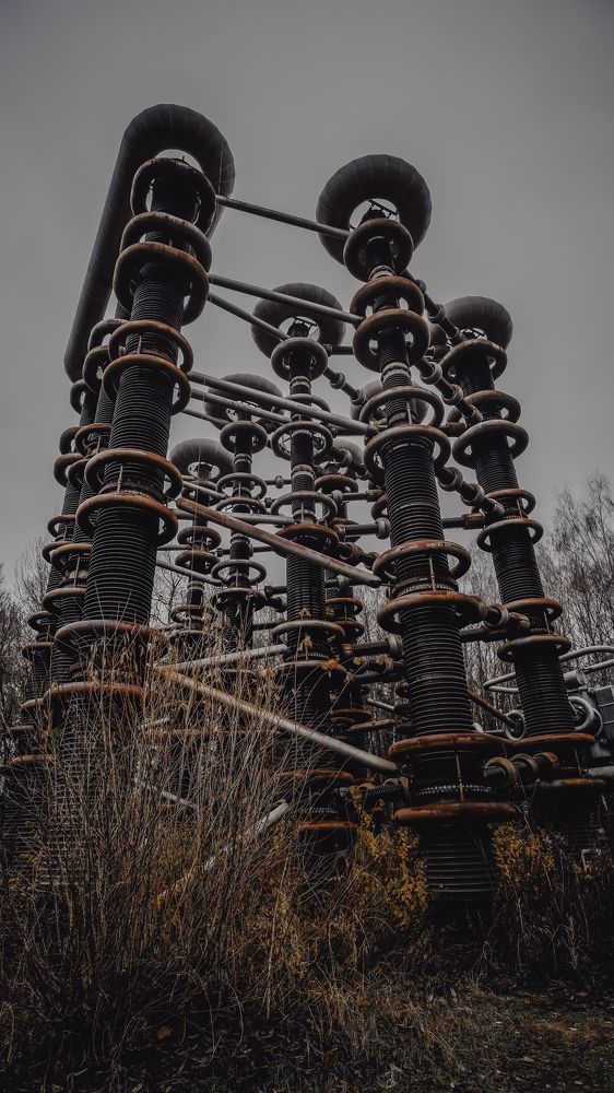 Фотография автора Медведева Елена