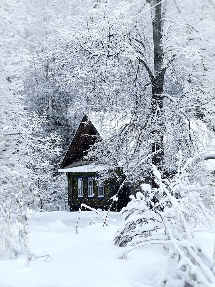 Фотография автора Люда Утина