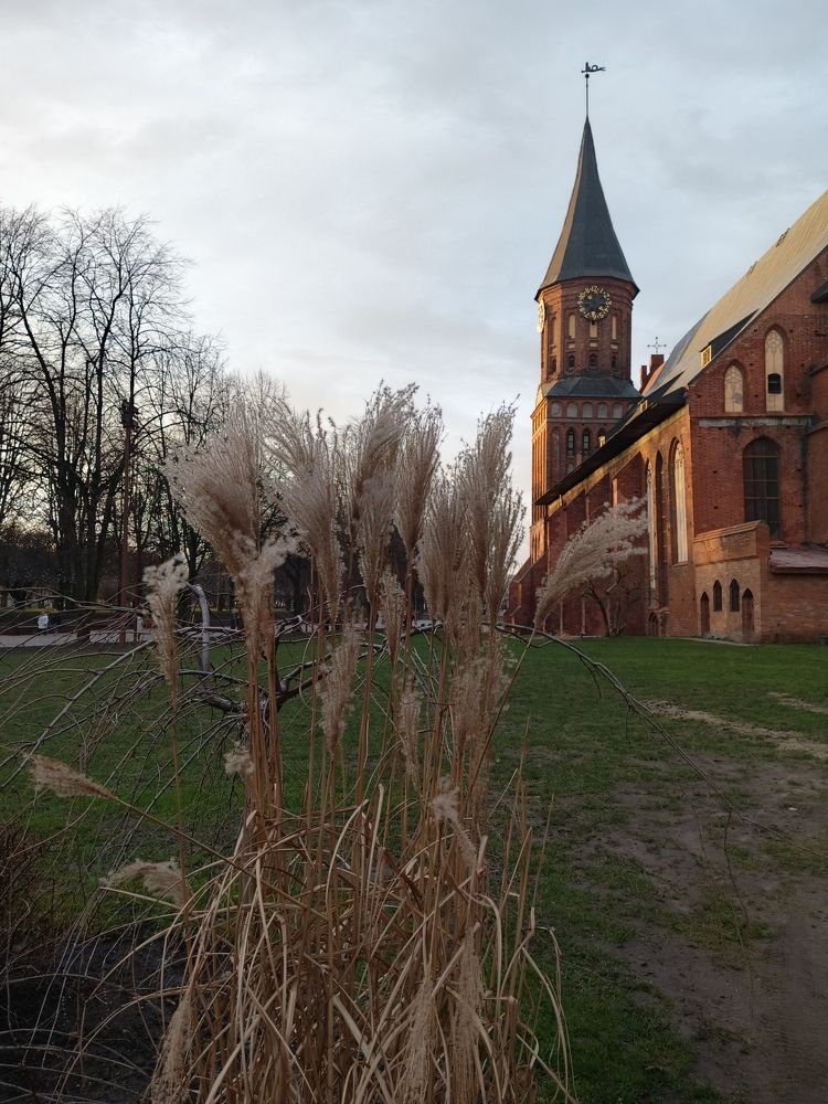 Photo #11743367