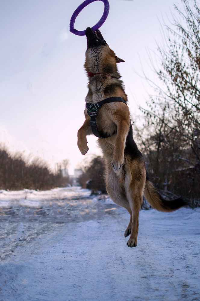 Photograph by Светлана Мельник